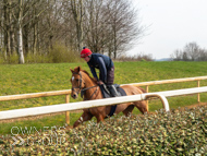 BP200326-40 - It's Hard To Know